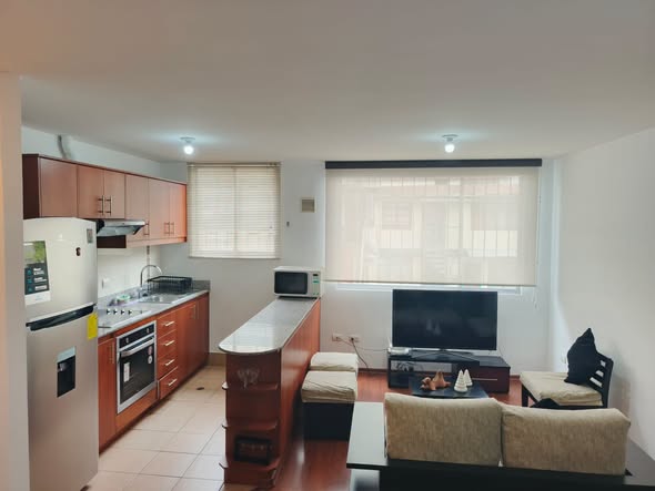 Suite de 55 m² en arriendo en Antonio de Ulloa y República — foto 3 de 5