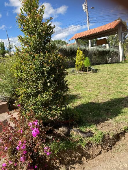 Casa de 6 habitaciones en arriendo en Tababela — foto 3 de 5