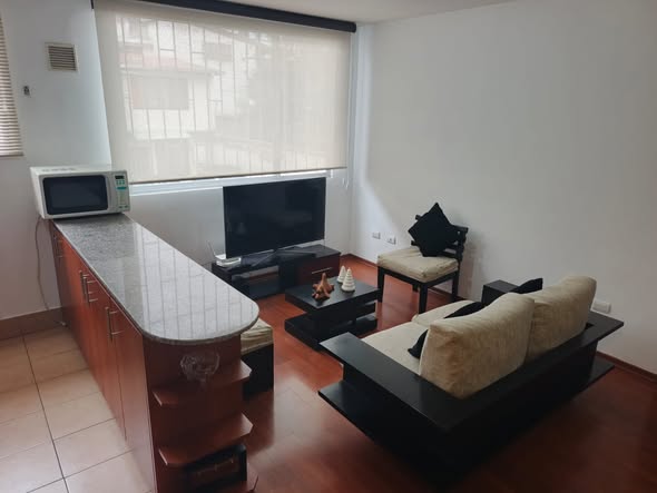 Suite de 55 m² en arriendo cerca del Parque La Carolina — foto 4 de 5