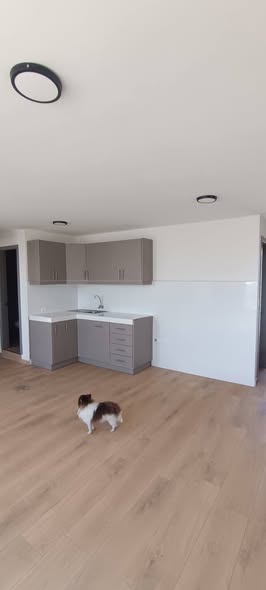 Mini suite en Calderón, cerca de la Plaza Coral Carapungo — foto 4 de 5