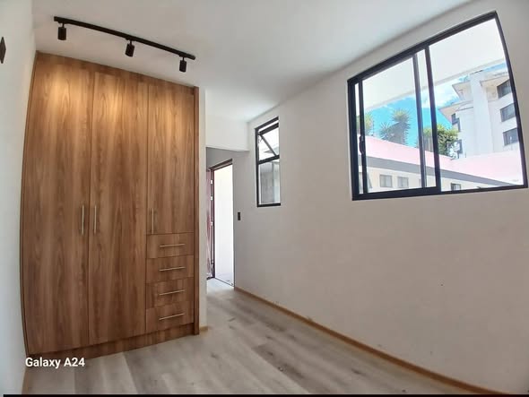 Suite por estrenar en El Bosque